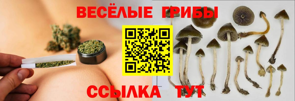 Галлюциногенные грибы Magic Shrooms Джанкой